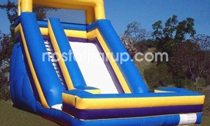 Davet ve Piknik Organizasyonları