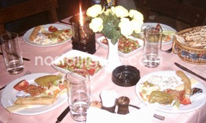 Davet ve Piknik Organizasyonları