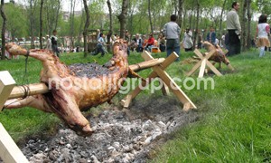 Davet ve Piknik Organizasyonları