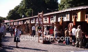 Festival ve Etkinlik