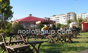 Festival ve Etkinlik