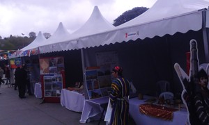 Kamelya Çadır Stant