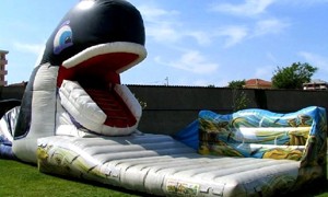 Şişme Oyun Grupları